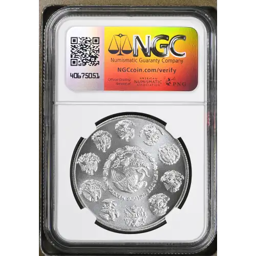 2010Mo SILVER (3)