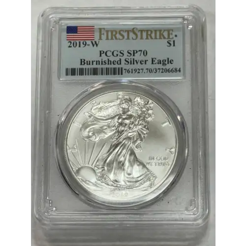 2019-W $1 Burnished Silver Eagle First Day of Issue (3)