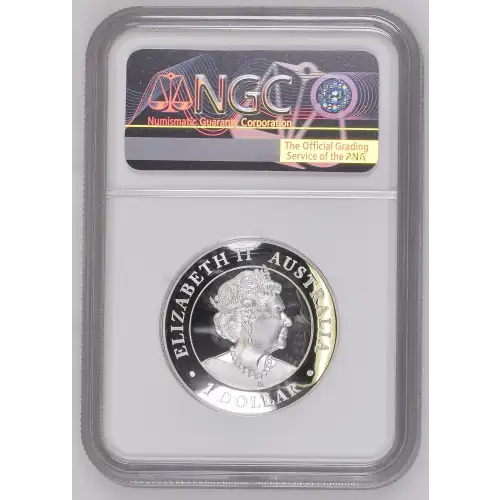 2020P Wedge-Tailed Eagle High Relief - FR ULTRA CAMEO (3)