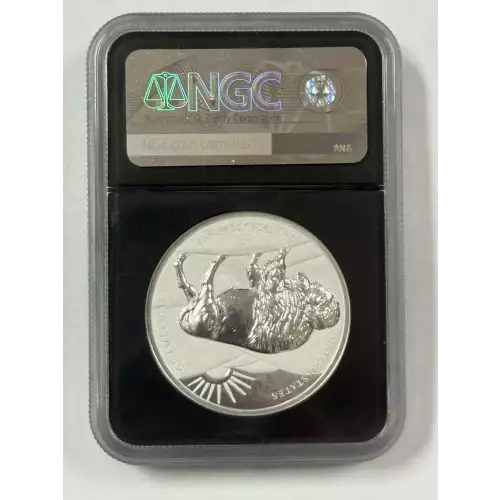 2021 2oz silver lost buffalo
