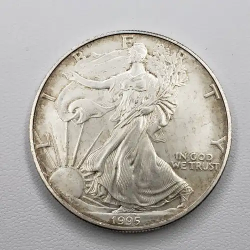 Any Year (Imperfect) 1oz American Silver Eagle (5)
